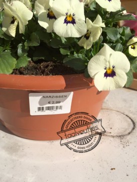 Woordweetje: zeg het met bloemen