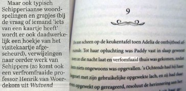 Woordweetje: verfomfaaid