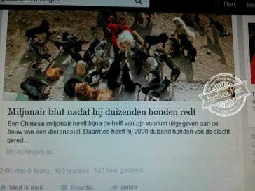 Woordweetje: Steenrijk 2.0