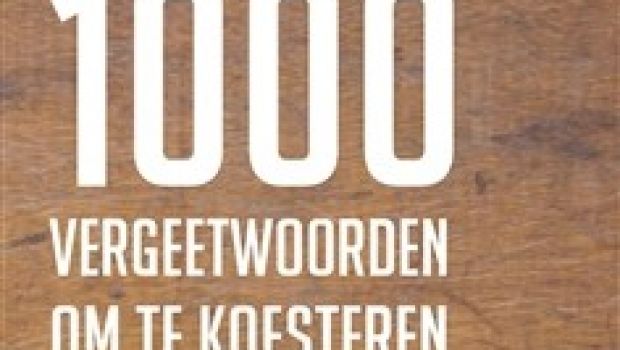 Boekrecensie: 1000 vergeetwoorden om te koesteren