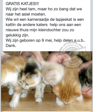 Column: Babylonië ligt in Brabant