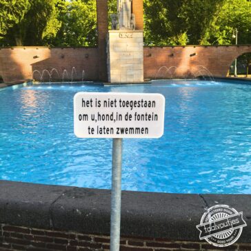 Zeg, gaan we schelden?