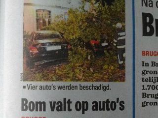 Column: taalergernissen