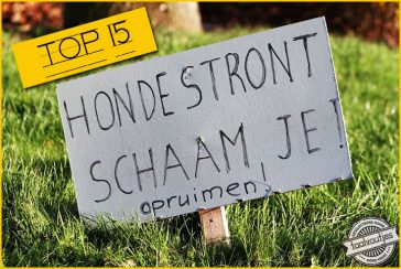 Stront aan de knikker: 15 schijtvoutjes