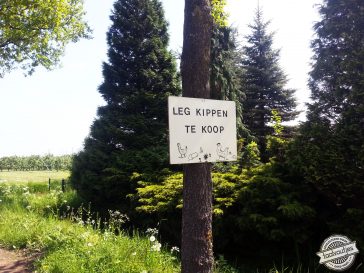 Woordweetje: windeieren