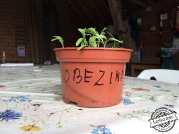 Ik was eigenlijk op zoek naar koesjet.