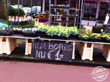 Tja, aan een halve heb je ook niet zoveel.