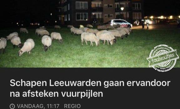 Hoe dan ...