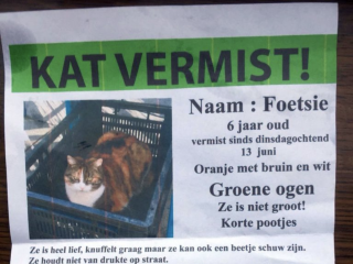 Column Paulien Cornelisse: Kakkie