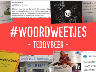 Woordweetje in beeld: Teddybeer