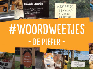 Woordweetje in beeld: Pieper