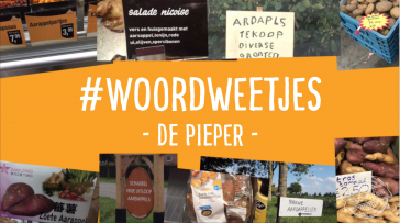 Woordweetje in beeld: Pieper