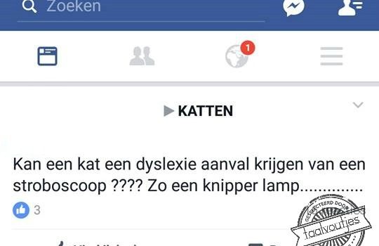 Dyslexie aanval