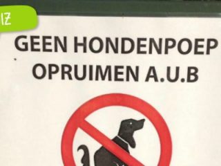 Quiz: Welk interpunctietype ben jij?