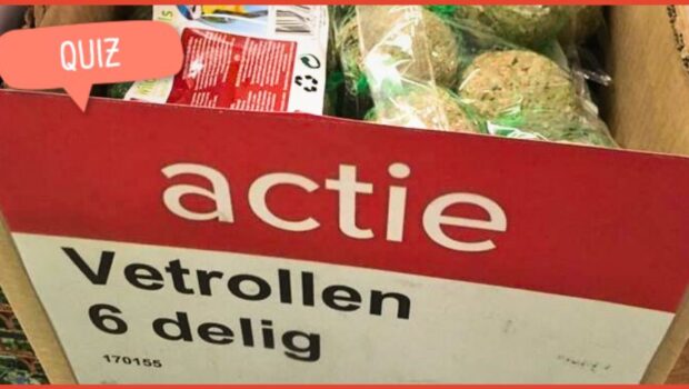 De Grote Goede Voornemens-quiz: hoe taalfit begin jij het jaar?