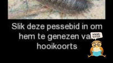 Woordweetje: Pissebed