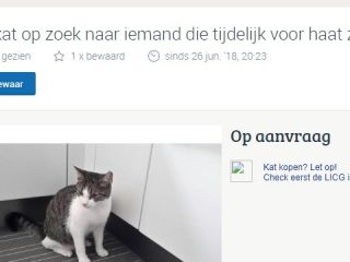 Woordweetje: Me so hungry