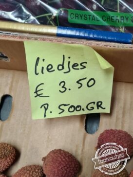 Wat staat er op het repertoire?