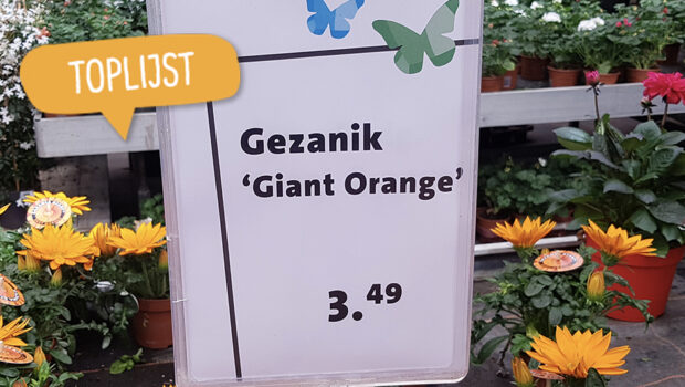 Toplijst planten