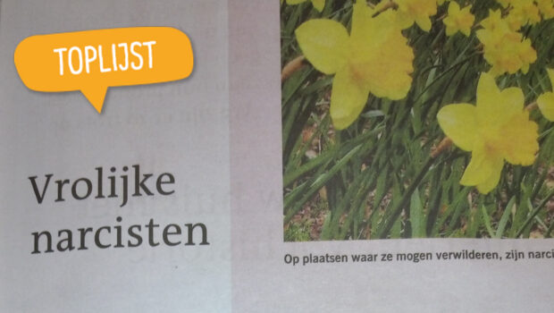 Toplijst vrolijke narcisten