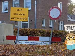 Woordweetje: Rijke stinkerd