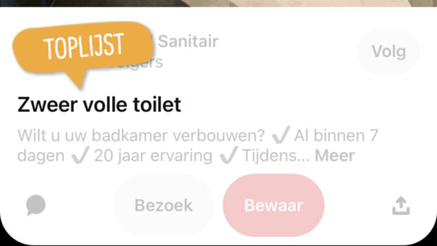 Toplijst wc-voutjes