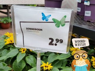 Woordweetje: de bloemetjes buitenzetten
