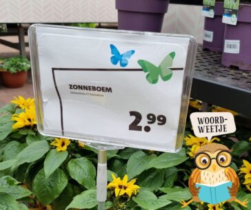 Woordweetje: de bloemetjes buitenzetten