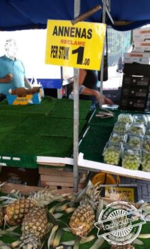 Liggen naast de lietsjies.