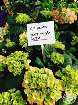 O, dan hebben we nog wel even.