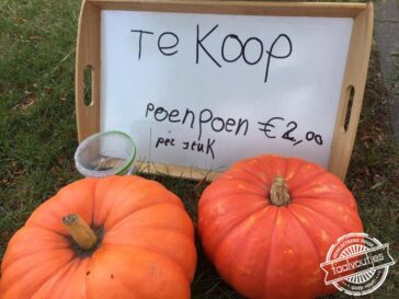 Daar kunnen we allemaal wel wat meer van gebruiken.