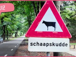 Hoe heet een groep dieren? Test je taalgevoel in onze Dierenquiz!