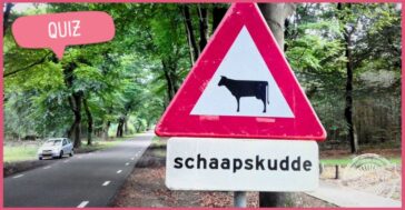 Hoe heet een groep dieren? Test je taalgevoel in onze Dierenquiz!