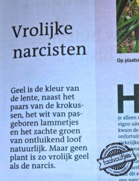 Aan henzelf zal het in ieder geval niet liggen.