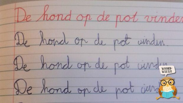 Woordweetje: de hond in de pot vinden