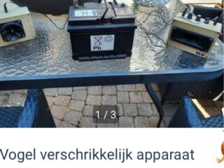 Woordweetje: Heikneuter