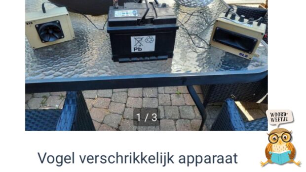 Woordweetje: Heikneuter