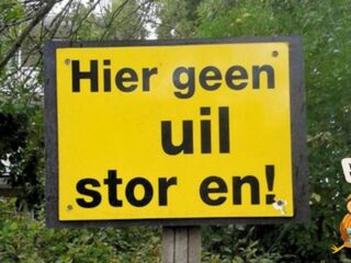 Woordweetje: een uiltje knappen
