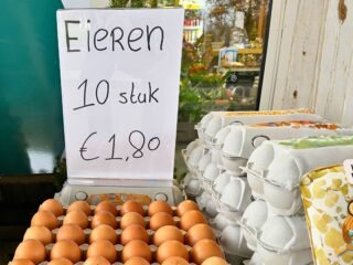 Woordweetje: eieren voor je geld kiezen