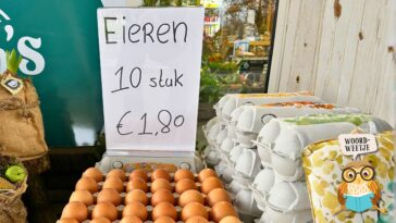 Woordweetje: eieren voor je geld kiezen