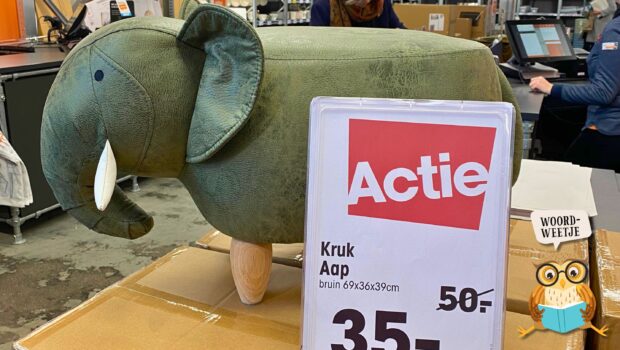 Woordweetje: in de aap gelogeerd zijn