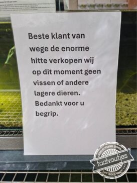 Steek onder water.