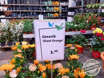 Om daar nou voor te betalen …