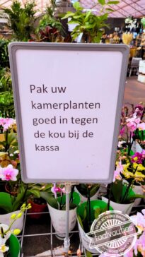 Of je zet er gewoon een heater neer.