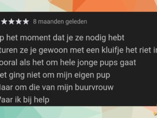 Woordweetje: met een kluitje in het riet gestuurd worden