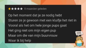 Woordweetje: met een kluitje in het riet gestuurd worden