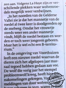 Vast een weerwolf.